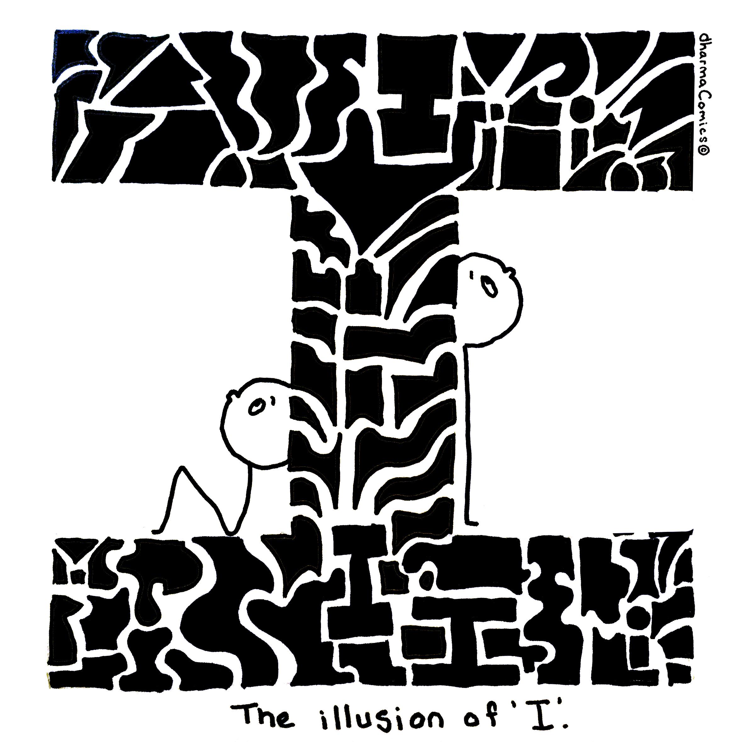 Image of the Week