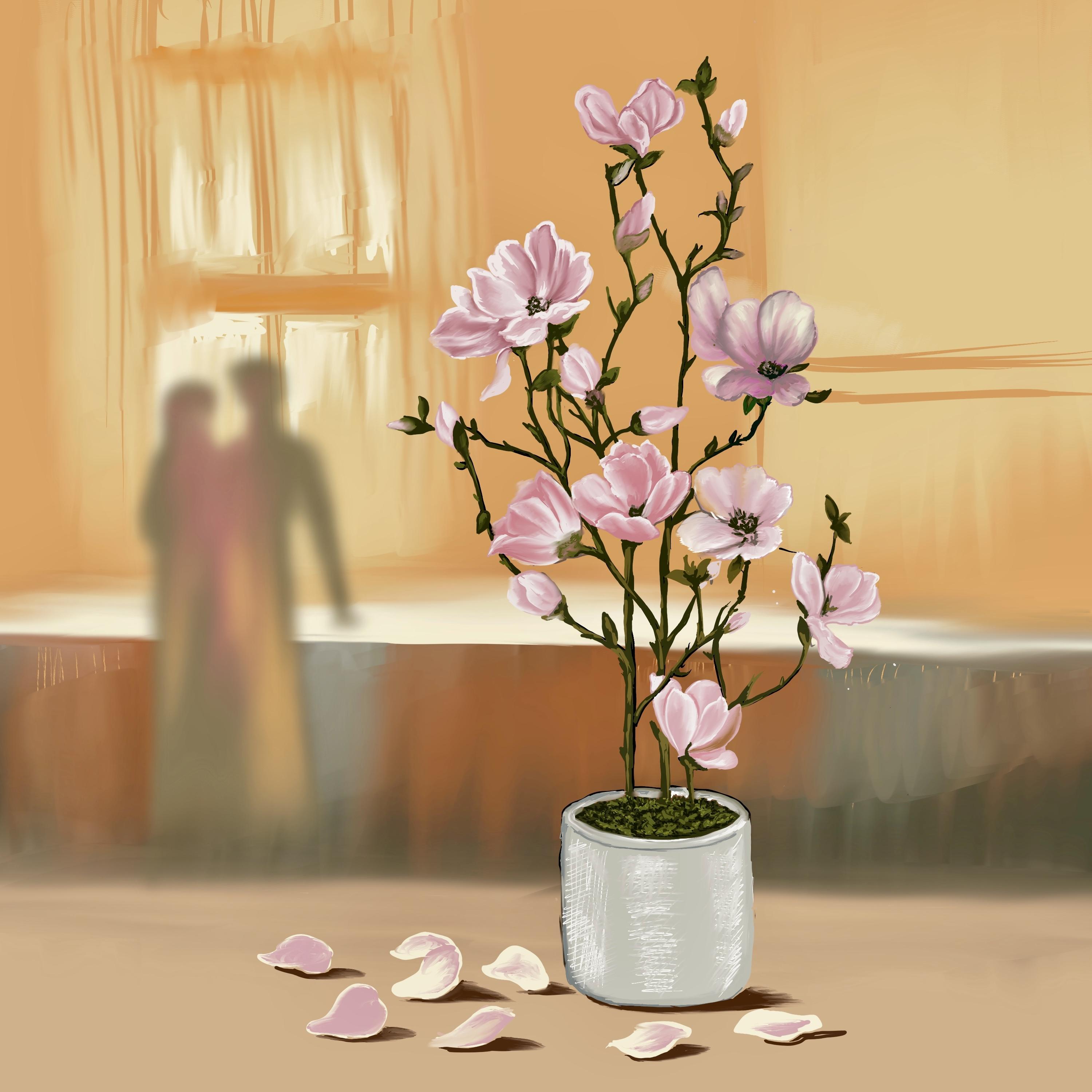 Image of the Week