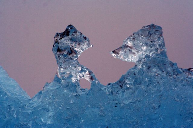 Image of the Week