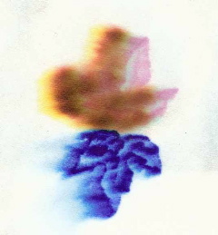Image of the Week