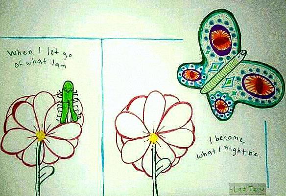 Image of the Week